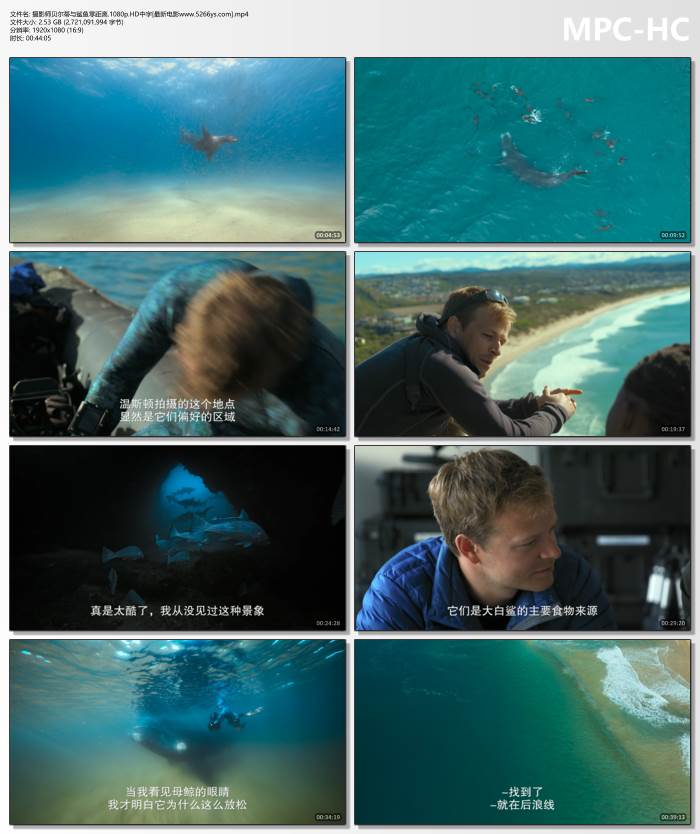 年代感遗珠补档